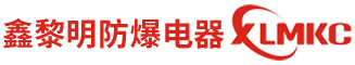 浙江新黎明環保有限公司